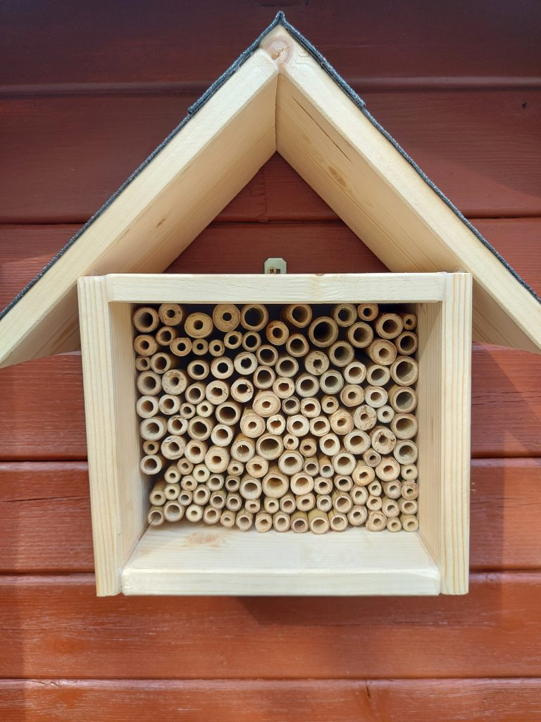 Insektenhotel bauen, Bienenhotel bauen, Wildbienenhoten bauen, Wildbienen, Bienen