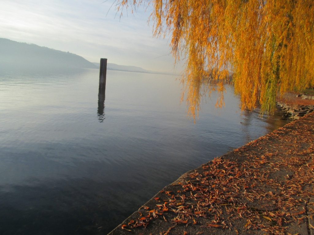Herbsturlaub am Bodensee, Herbst, Herbsturlaub, Bodensee, Bodensee im Herbst, Eistobel, Pfänderbahn, Reichenau, OLMA