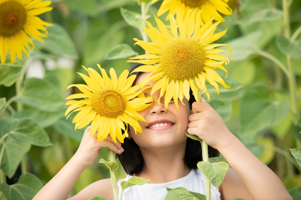 Sommeraktivitäten, Sommer, Aktivitäten, Kinder, Spaß, Abenteuer